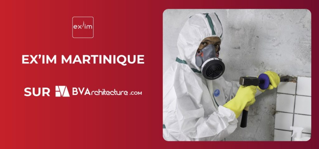 actu-exim-martinique